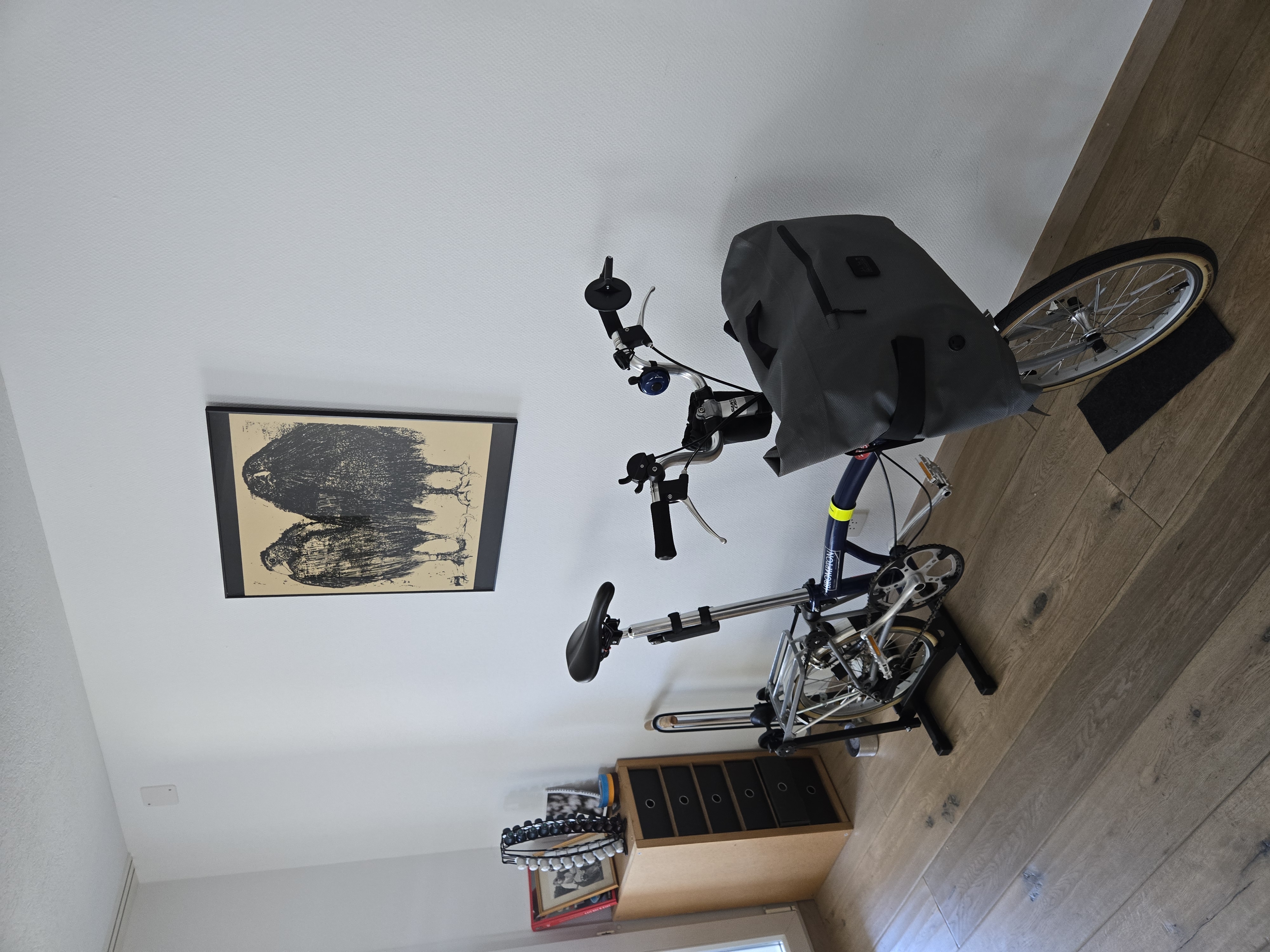 Ein wirklich wichtiges Velo! Ein Brompton, ein intelligentes Velo! Brigio di Blublu grande